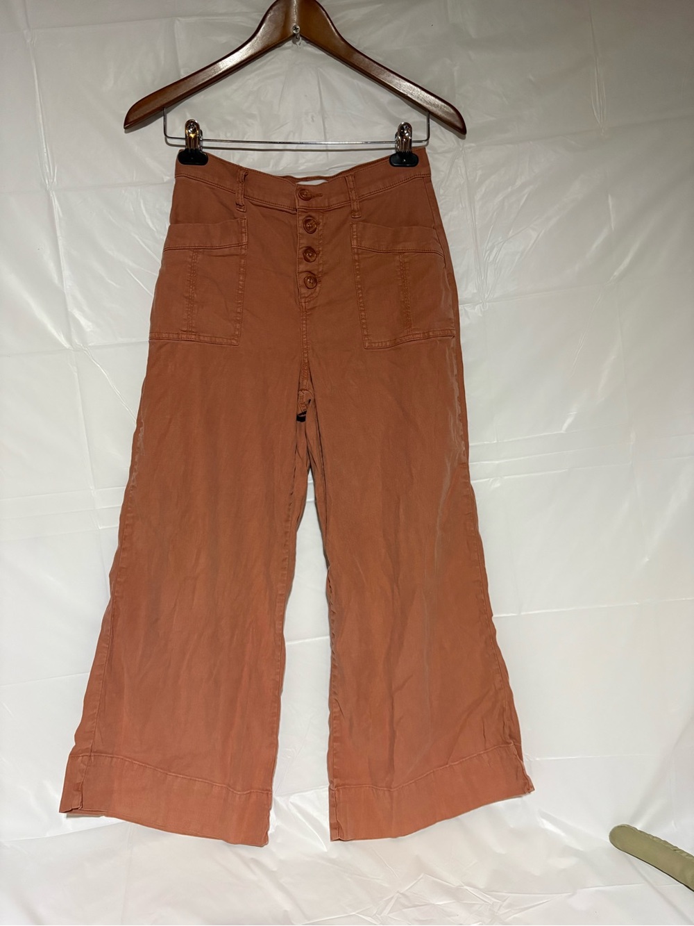 Evereve Wide-Leg Button-Front Pants in Rust